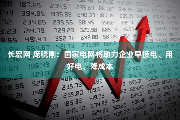 长宏网 庞骁刚：国家电网将助力企业早接电、用好电、降成本