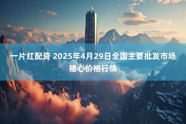一片红配资 2025年4月29日全国主要批发市场猪心价格行情