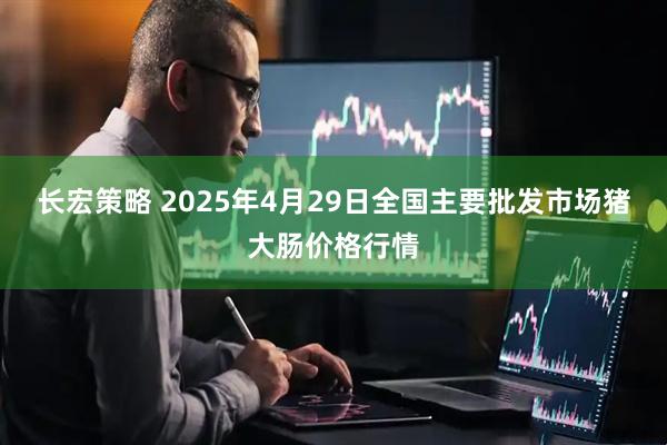 长宏策略 2025年4月29日全国主要批发市场猪大肠价格行情